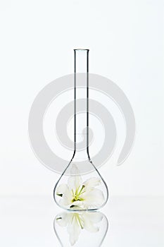 Flower In Laboratory Glass
