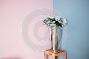 White Flower in modern vase decoration design on stand with pink and blue color wall background