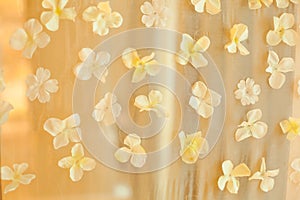 White Flower Petals Wedding Backdrop Background. Wedding Ceremony Special Occasion Event, Decoration Concept