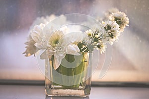 White Flower in pot of glass placed in front of the mirror, Soft focus and vintage tone.