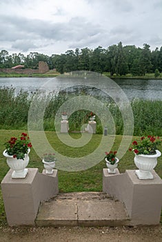 white flower pots vases .