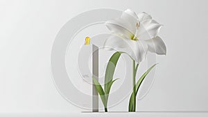 Elegant White Lily and Skincare Product with Amber Dropper on White Background