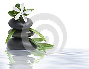 White flower and spa stones in water