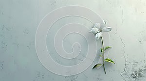 a white flower, in the style of auto-destructive art, light green and dark gray, urban signage, highly realistic