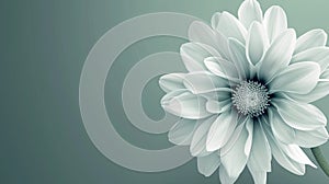 a white flower, in the style of auto-destructive art, light green and dark gray, urban signage, highly realistic