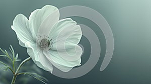 a white flower, in the style of auto-destructive art, light green and dark gray, urban signage, highly realistic