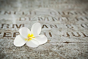 White Flower on tombstones in old cemetery