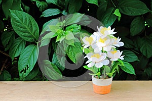 White flower vase on table