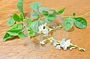 White flower on wood background