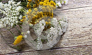 White flowering umbels and buds of wild carrot and tansy on wood background