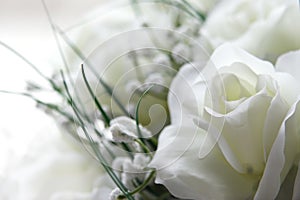 Bílý květiny 