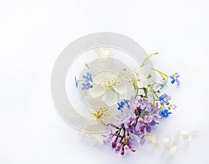 White flowers of apple tree, blue forget me nots, lilac, on white background