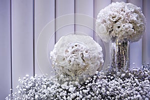 White flowers backdrop