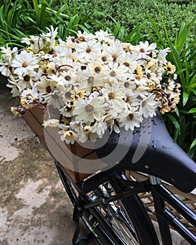 White flowers in the basket