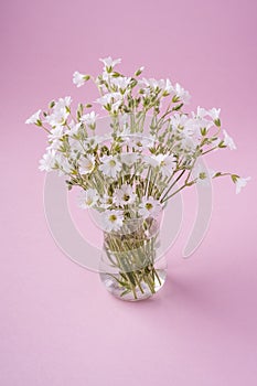 White flowers bouquet in glass vase on pink background