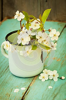 White Flowers Of Cherry In Old Cup.