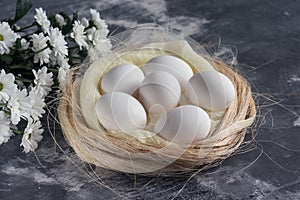 White flowers with chicken eggs in nest on gray stone background. Spring and Easter holiday concept with copy space