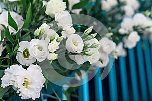 White flowers, decorations for wedding