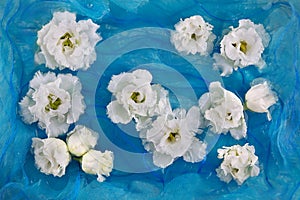 White flowers of eustoma, lisianthus, on a background of blue silk fabric