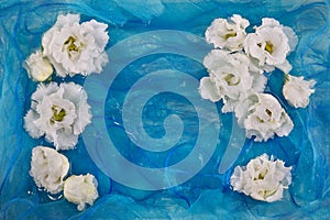 White flowers of eustoma, lisianthus, on a background of blue silk fabric