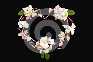 white flowers frangipani local flora of asia arrangement heart flat lay postcard style