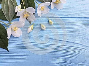 white flowers freshness springtime sunny arrangement on a blue wooden background
