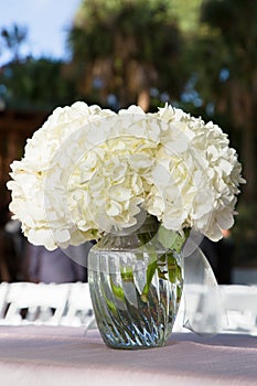 White flowers in glass vase