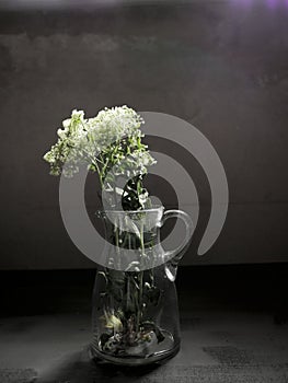 Weiß Blumen glas vor Schwarz 