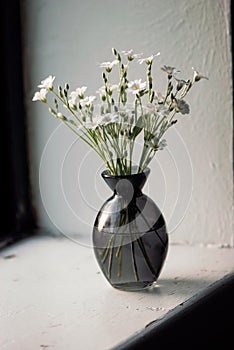White Flowers In Grey Vase