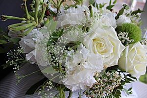 White flowers near the window