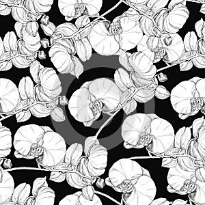 White  flowers orchid. Floral seamless pattern.