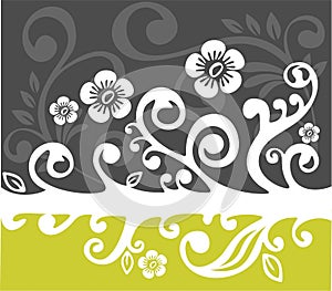 White flowers pattern