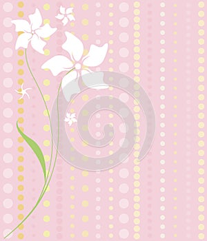 White Flowers on Pink