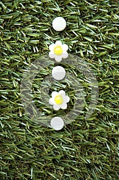 White flowers pushpins