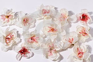 White flowers, sakura apple blossom artificial