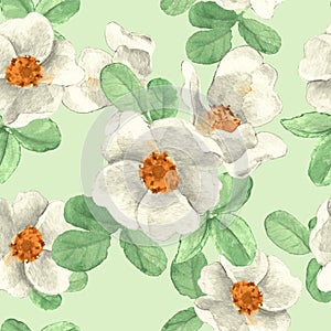 White flowers. Seamless floral pattern 1