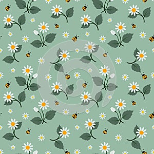 White flowers seamless pattern with ladybug on soft green background