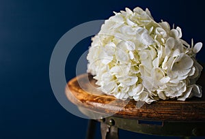 White Flowers on Stool