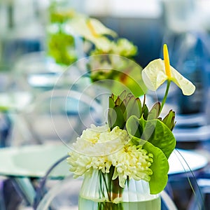 White flowers on a table setting for event or party