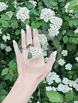 White flowers,tenderness, spring, green plants, natural