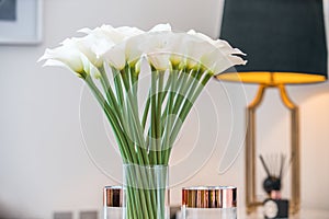 White flowers in a vase