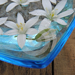 White flowers in vase with glass of water on a wooden background closeup