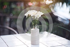 White flowers with white vase.