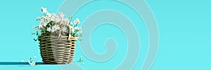 White flowers in wooden basket on turquoise blue spring background