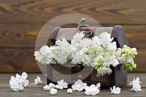 White flowers in the wooden vintage chest