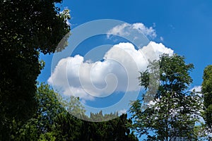 White, fluffy clouds in blue sky photo