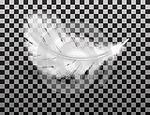 White fluffy feather with shadow realistic