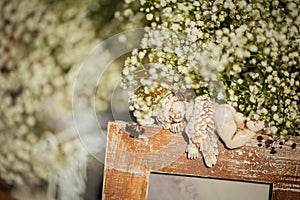 White fluffy flowers, photo frame with a lying angel