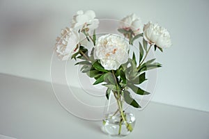 White fluffy peonies bouquet in white interior