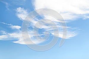 White fluffy spindrift clouds in a stratosphere. Light fiber like cirrus clouds high in the blue summer sky. Different cloud types